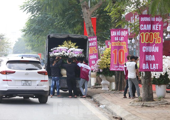 Các hoạt động mua bán hoa, cây cảnh phục vụ thị trường Tết diễn ra ngay dưới lòng đường, vỉa hè cũng làm cho tình trạng giao thông thêm hỗn loạn.