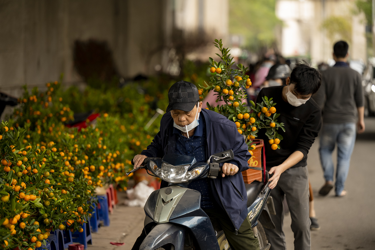 Ai cũng tranh thủ những ngày sát Tết để chọn cho mình một cây quất, một cành đào trang trí trong những ngày đầu năm.