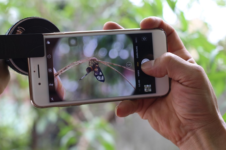 Chỉ cần một chiếc điện thoại bình thường có gắn thêm lens macro do anh Phúc chế tạo nên là có thể chụp được những bức ảnh như được chụp từ máy ảnh chuyên dụng.