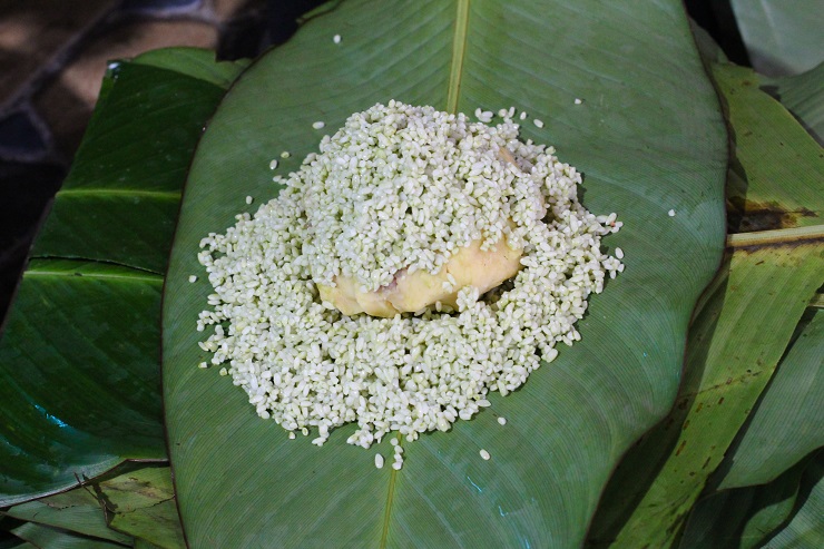 Lá dong dùng để gói bánh cũng phải là lá dong nếp.