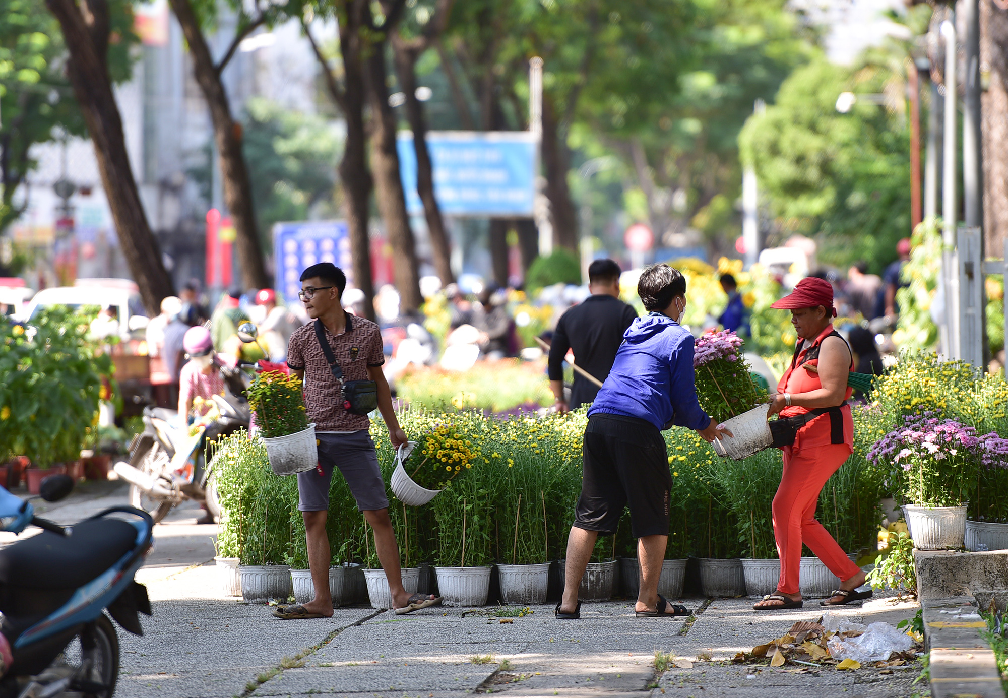 Sáng 29 Tết, trước thời điểm chợ hoa công viên 23/9 (quận 1, TP.HCM) phải đóng cửa trả mặt bằng, nhiều người dân đổ về đây mua hoa kiểng giá rẻ giảm giá từ 30-50%.