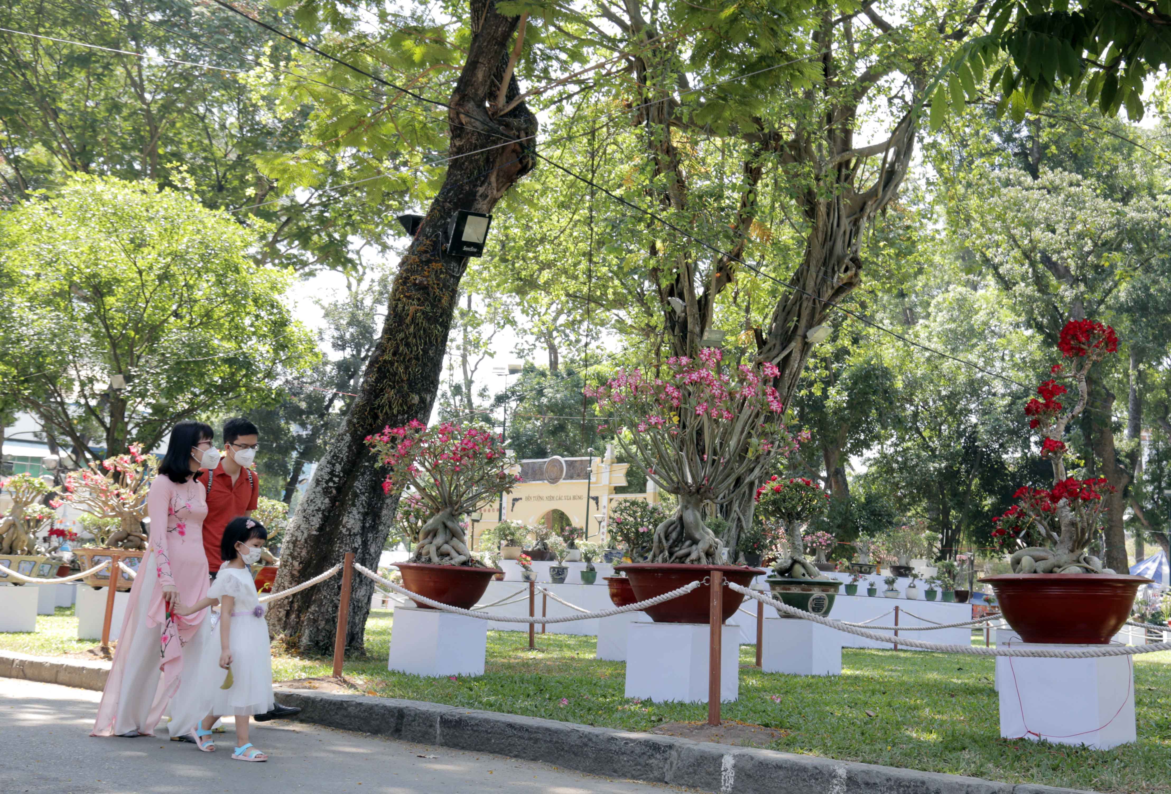 Du khách dạo bước tham quan vườn hoa sứ đang đua nhau khoe sắc chào đón Tết cổ truyền của dân tộc.