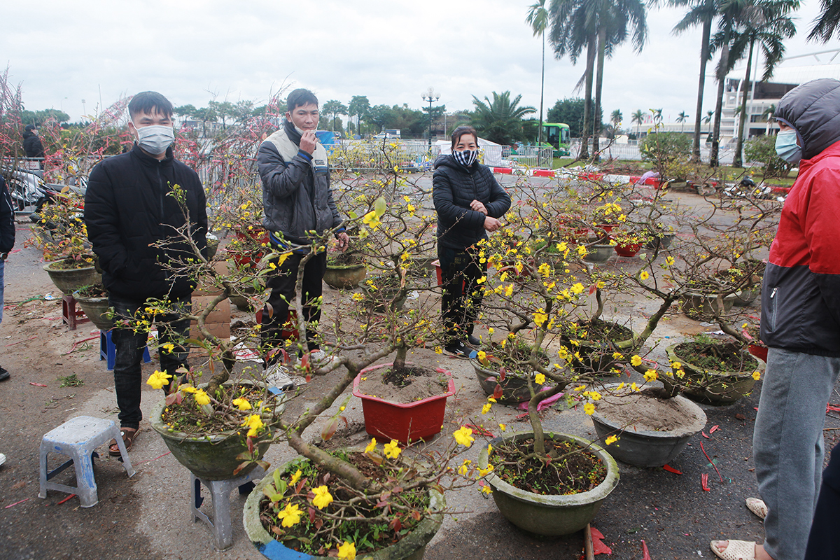 &#34;Đại hạ giá&#34; đào, mai vẫn ế, chủ hàng tuyên bố mang về, không để khách ép giá - 6