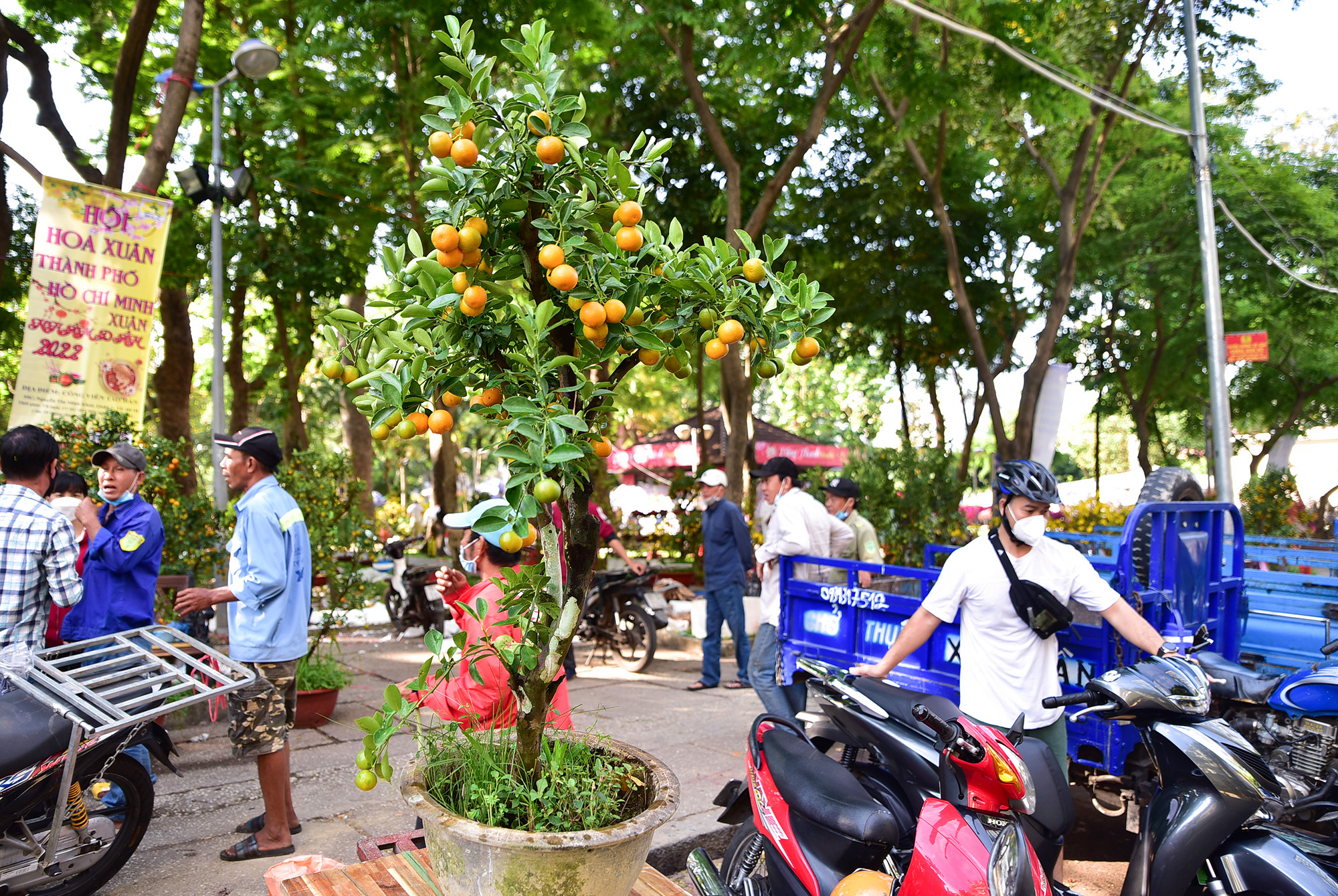 “Nhà gần chợ hoa nhưng bận công chuyện quá sáng nay tôi mới mua được cây quất giá rẻ chỉ 300.000 đồng. Năm nay hoa kiểng còn nhiều và đẹp nhưng không nhiều người mua như những năm trước ở thời điểm này”, anh Huy, quận 1 cho biết.