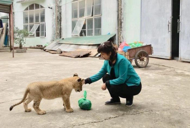 Chị Nguyễn Kim Thương gắn bó với đàn con của Lâm Nhi từ thời còn trẻ.