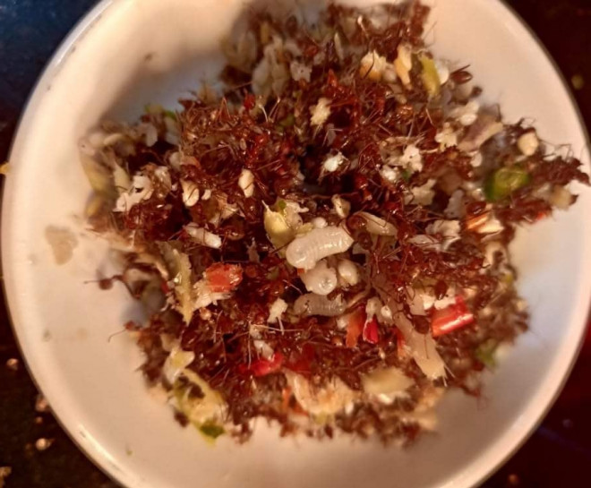Muối kiến là món ăn đặc trưng trong văn hóa ẩm thực của người đồng bào dân tộc thiểu số Jrai