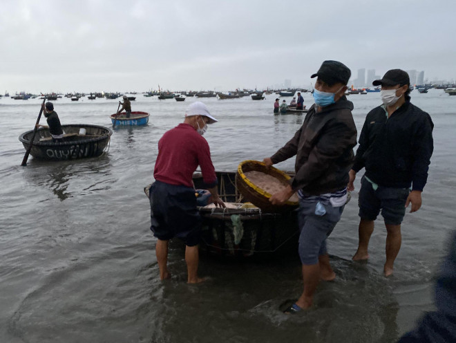 Tàu đánh ruốc được ngư dân các phường Thọ Quang, Mân Thái đi từ khoảng 16 đến 17 giờ chiều hôm trước và cập bờ từ 5 giờ 30 sáng hôm sau. Mỗi tàu có khoảng 4 ngư dân, khi vào bờ, ruốc được vận chuyển bằng thuyền thúng từ tàu vào