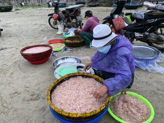 Ruốc lên bờ có 2 loại, ruốc tươi và ruốc mắm. Ruốc mắm là loại được ngư dân đánh bắt khi mới đưa tàu ra ngoài đến giữa đêm. Từ giữa đêm đến sáng hôm sau, ruốc thu được tươi hơn nên dùng bán trực tiếp ở chợ để chế biến thức ăn