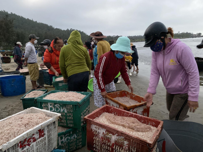 Chợ ruốc ở bãi biển Thọ Quang mở từ 5 giờ 30 đến 6 giờ 30 hằng ngày, thu hút hàng chục thương lái đến thu mua