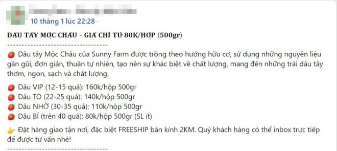 Hay tại một địa chỉ Homefarm chuyên bán dâu Mộc Châu thì giá dâu bi là 160.000 đồng/kg, dâu vip là 320.000 đồng/kg. Ảnh chụp màn hình.