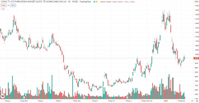 Sau khi tăng mạnh, cổ phiếu HNG bị điều chỉnh về mức dưới mệnh giá. (Ảnh: Tradingview)