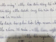 Giáo dục - du học - Bài văn miêu tả mẹ của cậu bé tiểu học với loạt khuyết điểm, đọc xong chỉ muốn đánh đòn