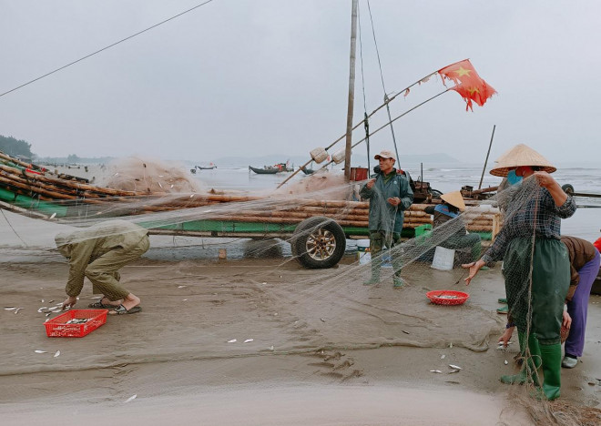 Theo ngư dân vùng biển xã Quảng Đại, Quảng Hùng (TP Sầm Sơn), những ngày đầu năm mới là mùa đánh bắt cá trích, cá lẹp, tôm tít, moi...