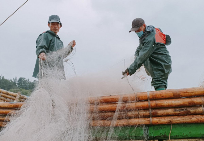 Nhưng đổi lại giá cả lại cao hơn. Tàu cá thường đi lúc khoảng 3-4 giờ sáng và trở lại bờ khoảng 8-9 giờ sáng