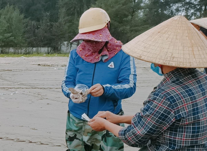 Những đồng tiền kiếm được sau một chuyến ra khơi của ngư dân xã Quảng Hùng, TP Sầm Sơn