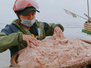 Tin tức trong ngày - Ngư dân đón &quot;lộc biển&quot; đầu năm, tàu cứ cập bờ là &quot;cháy hàng&quot;