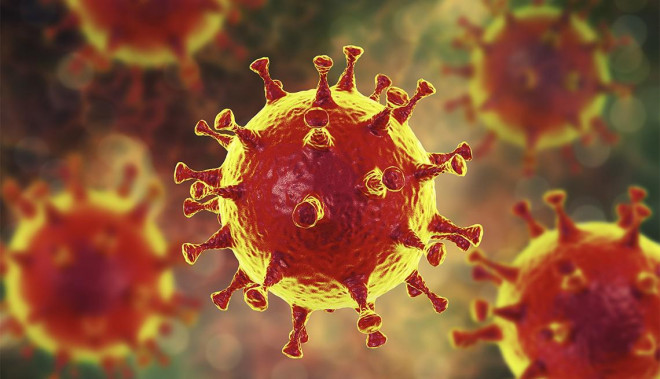 Virus corona có nhiều loại, có những loại cực kỳ nguy hiểm như SARS-CoV-2, cũng có những corona gây cảm lạnh thông thường (Ảnh minh họa từ Internet)