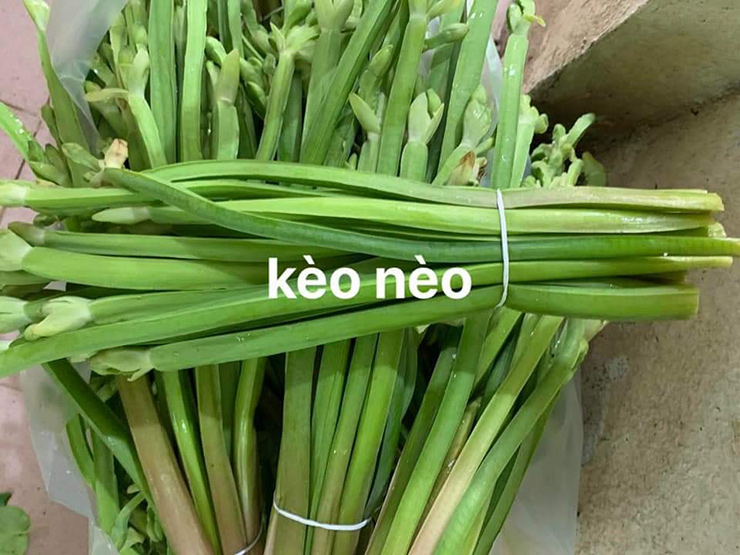 Trên chợ mạng, rau kèo nèo được bán với giá lên tới 100.000 đồng/kg
