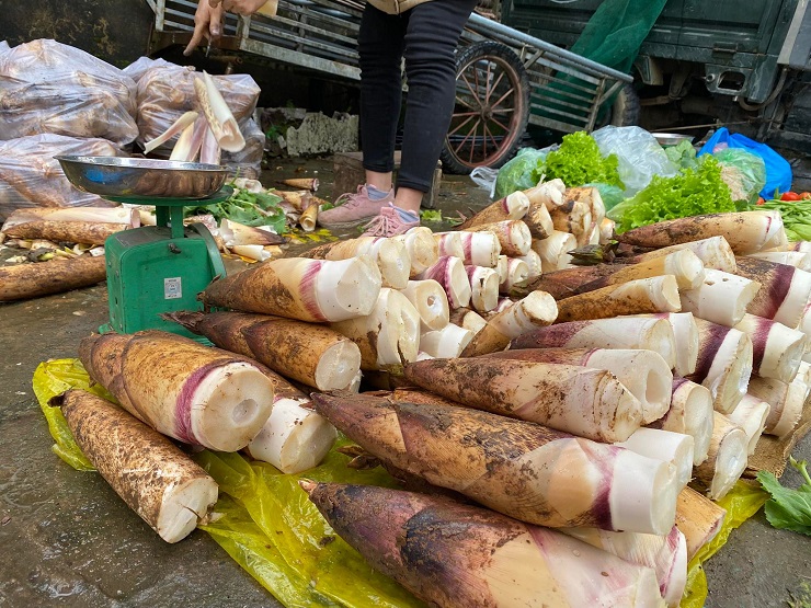 Măng vầu được bày bán tại nhiều khu chợ và trở thành loại "rau rừng" được nhiều người yêu thích. (Ảnh: Hương Ly).