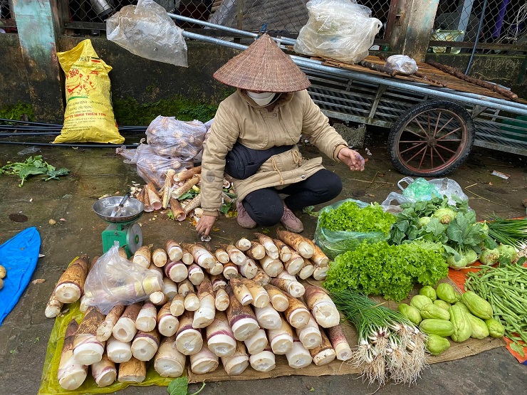 Mỗi cây&nbsp;măng nặng từ 1-1,5kg, mỗi người có thể bán được 1-2 tạ/ngày. (Ảnh: Hương Ly).