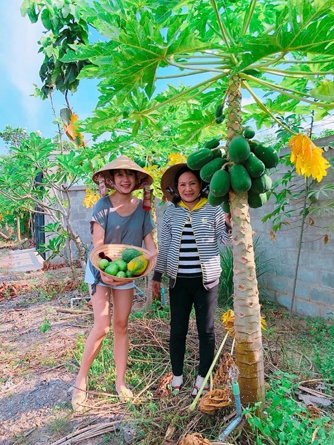 Trong dịp về quê thăm nội, cả nhà Lý Hải Minh Hà có nhiều trải nghiệm thú vị. Minh Hà mặc đơn giản, đội nón lá cùng người thân cùng thu hoạch trái cây.
