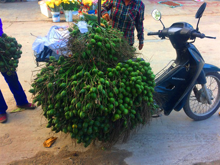 Bây giờ, ở các chợ cau có giá từ 30.000-50.000 đồng/kg.