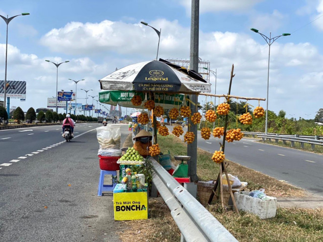 Hiện nay, những trái thanh trà vàng óng được người dân thu hoạch mang ra bán dọc theo quốc lộ 1 (đoạn qua thị xã Bình Minh, tỉnh Vĩnh Long).