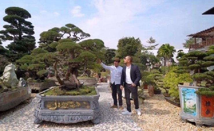 Căn biệt thự được bao quanh bởi khu vườn rộng lớn với nhiều loại cây bonsai khác nhau. Ngay phía bên trái là lối đi vào khu vườn Việt, trồng những cây cảnh có nguồn gốc xuất xứ từ nước ta.