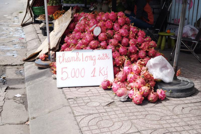 Thanh long đổ đống với giá 5.000 đồn/kg vẫn không có người mua. Ảnh: Thu Hà