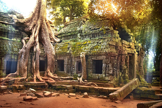 Ta Prohm, Campuchia: Ngôi đền là một phần của quần thể Angkor Wat nổi tiếng, trông giống như bị tàn phá bởi rừng rậm Campuchia với những thân cây to lớn cong vênh đâm xuyên qua các khe nứt của những phiến đá nham nhở. Nhưng cấu trúc hấp dẫn kỳ lạ này vẫn là điểm thu hút đông đảo khách du lịch và các nhiếp ảnh gia táo bạo.
