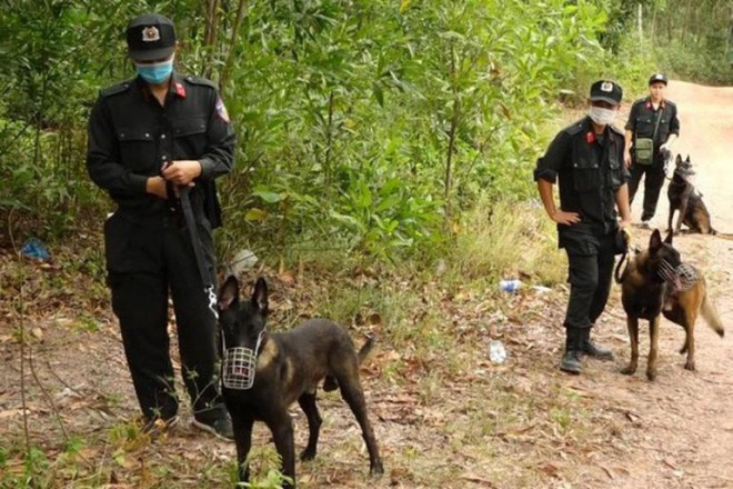 Các lực lượng chức năng truy tìm nghịch tử dùng rựa chém chết bố ruột, rồi bỏ trốn vào rừng - ảnh minh họa