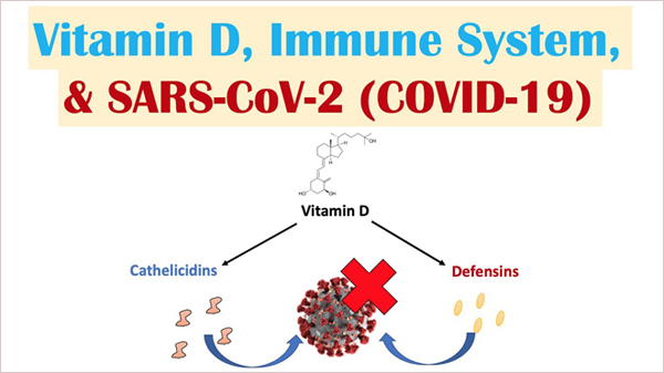 Vitamin D giúp hệ miễn dịch trở nên linh hoạt và thông minh hơn