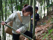 Thị trường - Tiêu dùng - Theo chân người dân miền núi đi kiếm “lộc rừng”, nghề làm thêm kiếm nửa triệu đồng/ngày