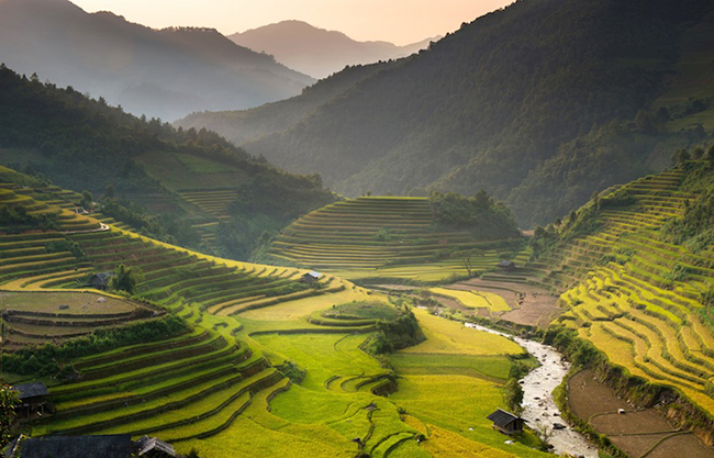 Ruộng bậc thang Sapa: Tới Sapa, du khách có thể tìm thấy ruộng bậc thang ở thung lũng Mường Hoa giữa thị trấn Sapa và đỉnh Fansipan, kế bên là&nbsp;khung cảnh rừng tre rậm rạp.&nbsp;
