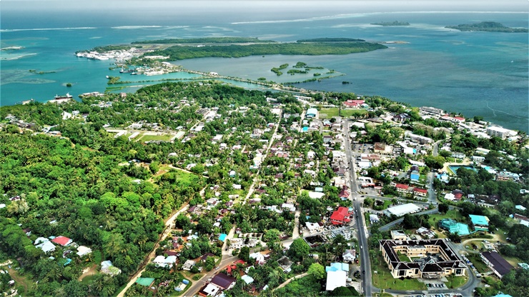 Phần lớn thực phẩm của Liên bang, bao gồm gạo, trái cây, rau, thịt và cá, và hầu hết tất cả các mặt hàng sản xuất và dầu&nbsp;đều phải nhập khẩu.
