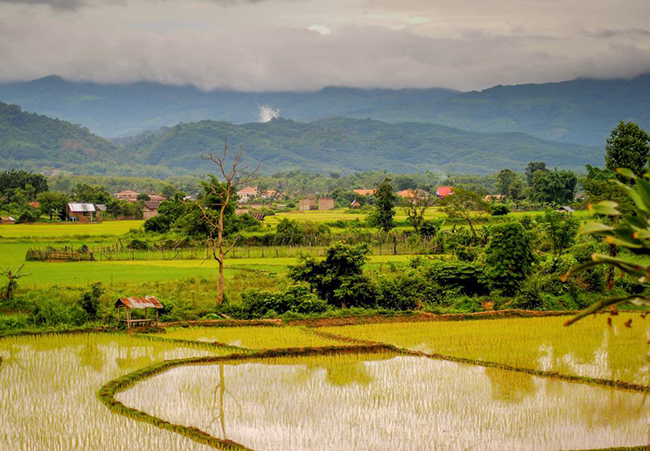 Cánh đồng lúa ở Luang Namtha: Luang Namtha được biết đến là thành phố lớn nhất ở phía tây bắc của Lào và nổi tiếng là điểm dừng chân cho bất kỳ ai đi du lịch giữa Lào và nước láng giềng Trung Quốc. Đây cũng là một địa điểm hàng đầu cho những ai thích đi bộ xuyên rừng.
