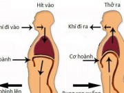 Sức khỏe đời sống - Bài tập thể dục dành cho F0 tại nhà