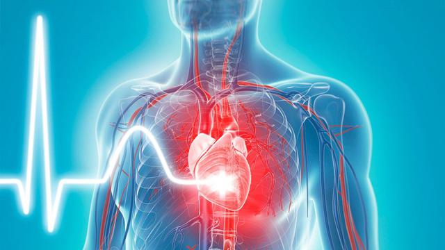 COVID-19 có thể làm tổn thương cơ tim và ảnh hưởng đến chức năng tim.