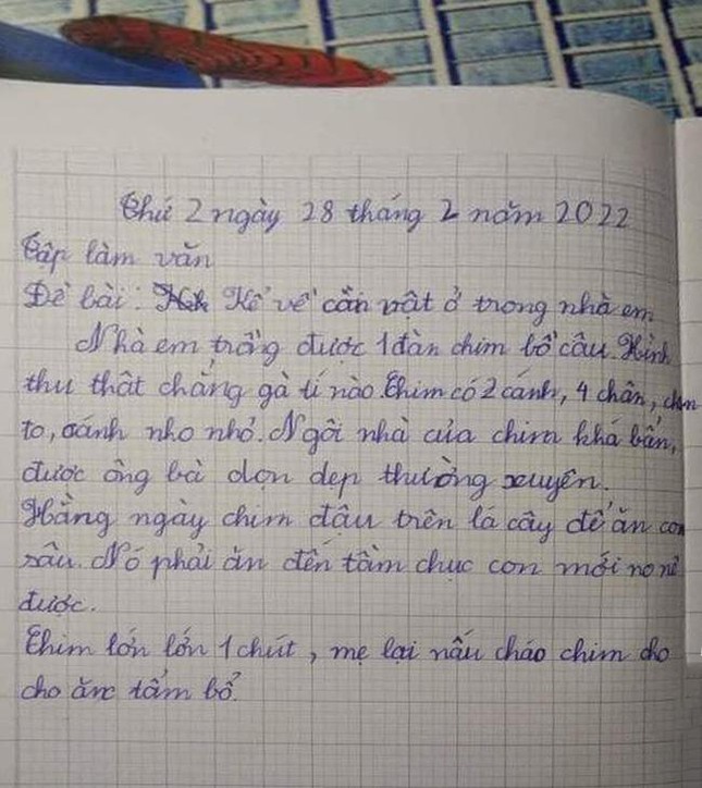 Bài văn tả chim bồ câu khiến dân mạng cười nắc nẻ.