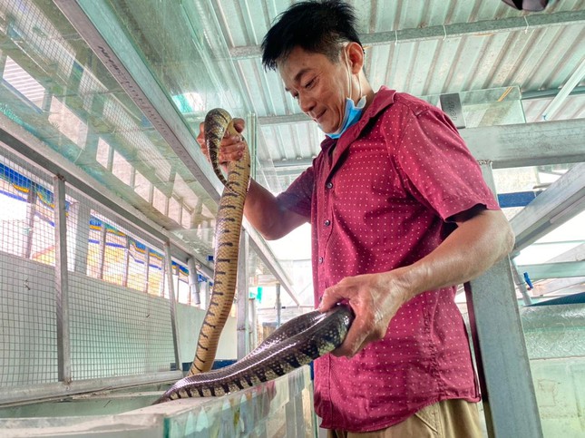 Anh Ngôn với mô hình nuôi rắn ri voi trong bể kính.