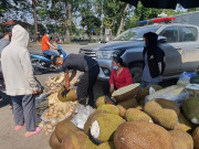 Thị trường - Tiêu dùng - Bất ngờ hoa quả dội chợ rẻ như cho, chị em chi tiền mua cả thùng về chia nhau