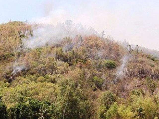 Bom, đạn nổ vang trời trong đám cháy rừng ở Bình Định