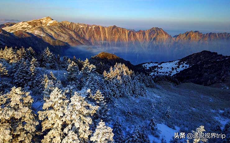 12. Bên cạnh đó, Shennongjia nằm ở độ cao hơn 3000m so với mực nước biển, thung lũng dài 15km được bao phủ bởi thảm thực vật dày đặc và sương mù quanh năm. Vực thẳm nguy hiểm này nếu không phải là người có kinh nghiệm sống trong rừng nguyên sinh lâu năm, ngay cả người dân địa phương cũng không dễ dàng di chuyển bên trong.
