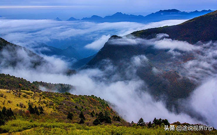 1. Shennongjia (Thần Nông Giá) nằm ở phía tây tỉnh Hồ Bắc, Trung Quốc. Có thể nói rằng, đây là một nơi bí ẩn chưa được con người khai phá nhiều. Nơi này có tổng diện tích 3.252km2, bên trong có nhiều đỉnh núi, đỉnh cao nhất cao 3105m so với mực nước biển.

