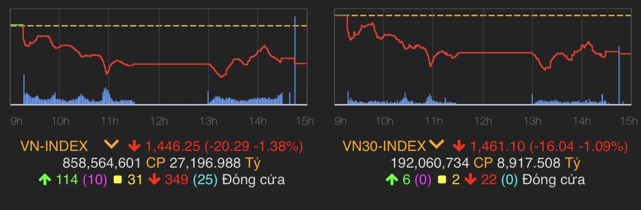 VN-Index giảm 20,29 điểm (1,38%) xuống 1.446,25 điểm.