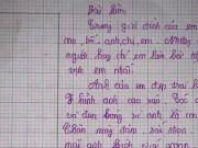 Bạn trẻ - Cuộc sống - Bé gái miêu tả anh trai hay chém gió, IQ cao hơn cả Einstein khiến dân mạng cười ngất