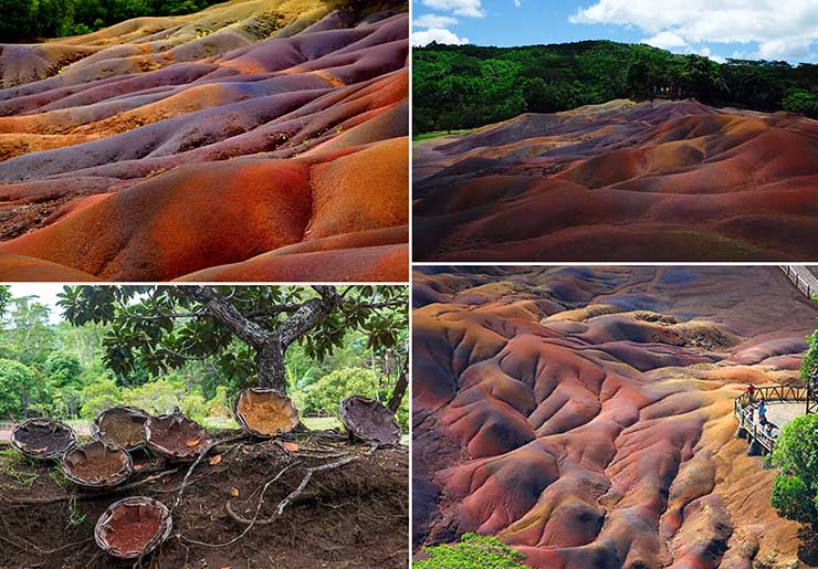 Chamarel là một ngôi làng ở quốc đảo Mauritius (một quốc gia ở Đông Phi) nằm ở quận Rivière Noire, phần phía đông của làng thuộc quận Savanne.
