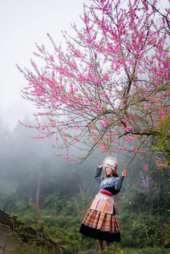 Mùa hoa đào nở muộn ở cao nguyên đá Hà Giang - 6