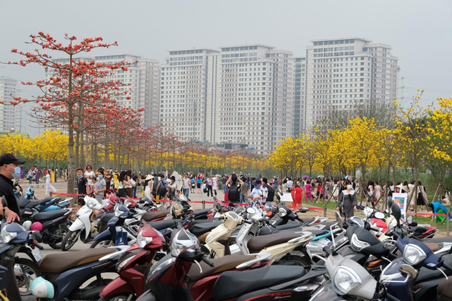 Lo sợ đông người đến chụp ảnh tiềm ẩn nguy cơ lây lan dịch COVID-19, UBND quận Hà Đông đã có chỉ đạo nóng.