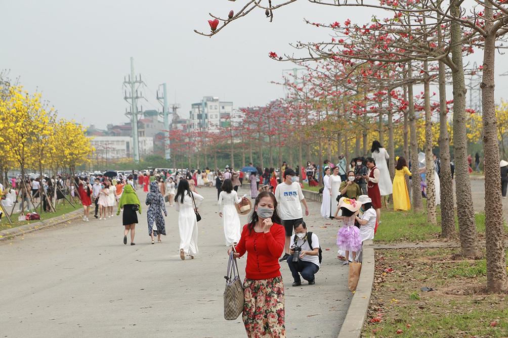 Nhiều người còn mang đồ ăn đến ăn trưa luôn tại con đường hoa rồi chụp ảnh.